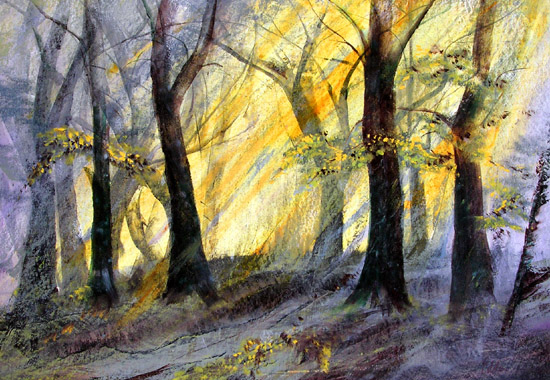 Sonnenlicht im Wald – Öl · 70 × 50 cm · März 2005